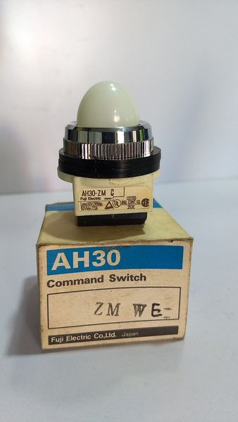 FUJI AH30 AHE COMMAND SWITCH 250V 6A NEW