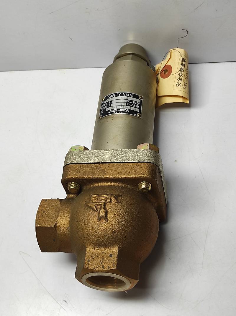 Saginomiya RSV-2510GXH Safety Valve