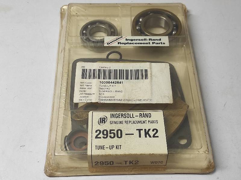 Ingersoll Rand 2950-TK2 Tune-Up Kit 2950TK2