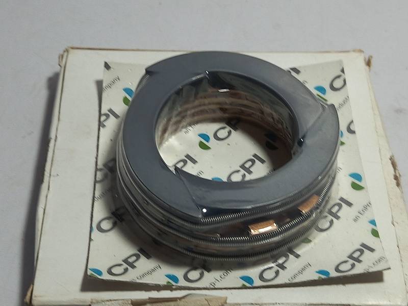 CPI BBB41-802-6300 Wiper Ring Set BBB418026300