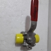 Flowserve Worcester Controls 44 Series Ball Valve A44-666MYB DN20