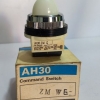 FUJI AH30 AHE COMMAND SWITCH 250V 6A NEW