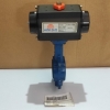 Vahn Tech VT-450_VTSR4 Actuator With AFA DN50 Valve 2Inch