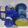 Bernard Controls SQ10 Actuator With Starline 215-SGS-G Valve