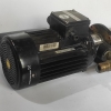 Grundfos SPK2-11_8 A-W-A-AUUV Coolant Pump Grundfos MG80A2-19FT100-B Pump Motor