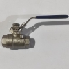 Nava SBV-2T Valve 1000 PSI WOG