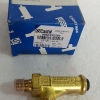 Castel 3060 Series Safety Valve 23C260 - 1/4