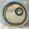 Rexroth P-173697-K0000 Seal Kit