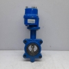 Johnson Valves KE005-8G Butterfly Valve