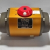 Flowserve 20 39 N R6 Pneumatic Actuator Series 39 NOV 223011