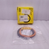 Parker PK6002A001  6”Bunan Piston Seal Kit