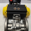 Alltorque DFS075-DA/SR Actuator With Limit Switch Box APL-210N And 150-1”CF8M Ball Valve